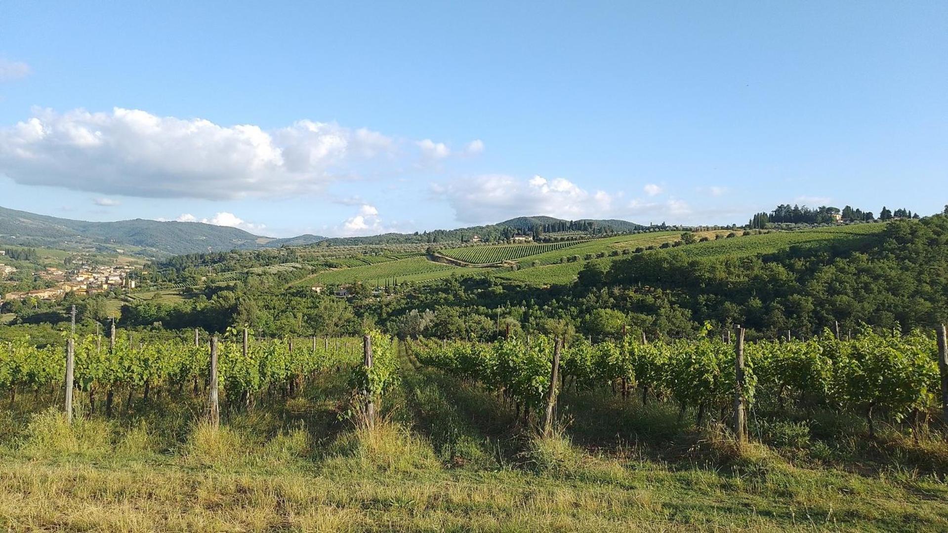 La Turra - Casa Di Campagna Греве-ін-К'янті Екстер'єр фото